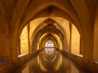 1780991454_elf-sevilla-471.jpg